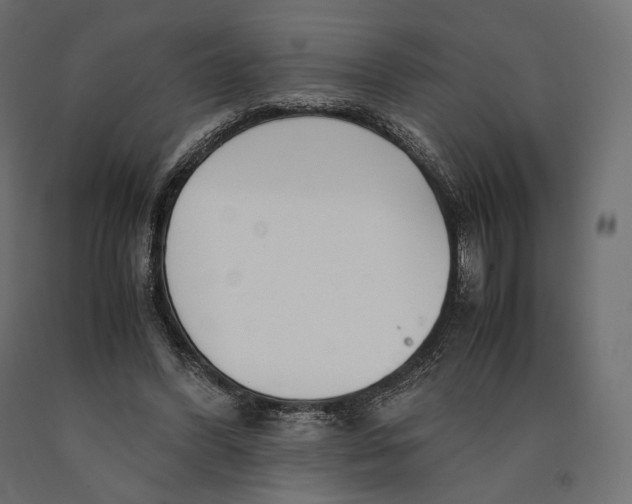 X0000090450396200708031222