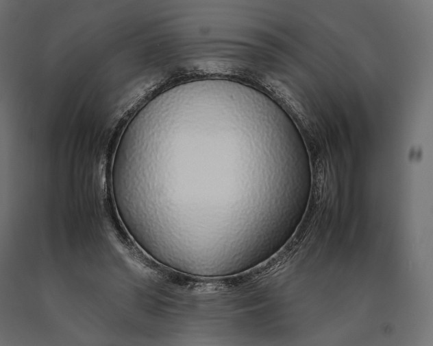 X0000090450398200708031222