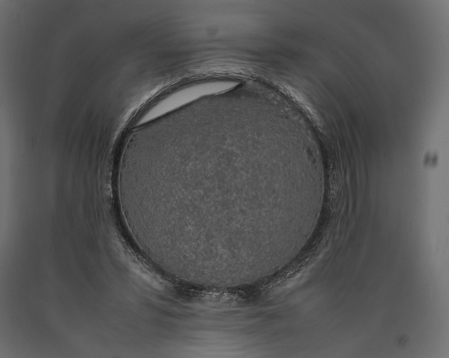 X0000090450399200708031222