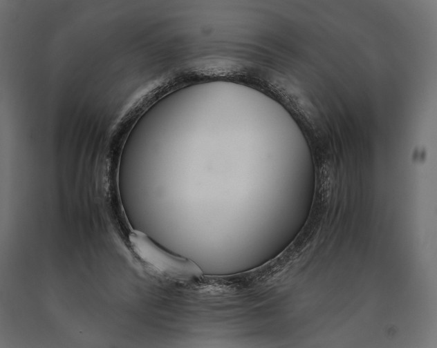 X0000090450400200708031222