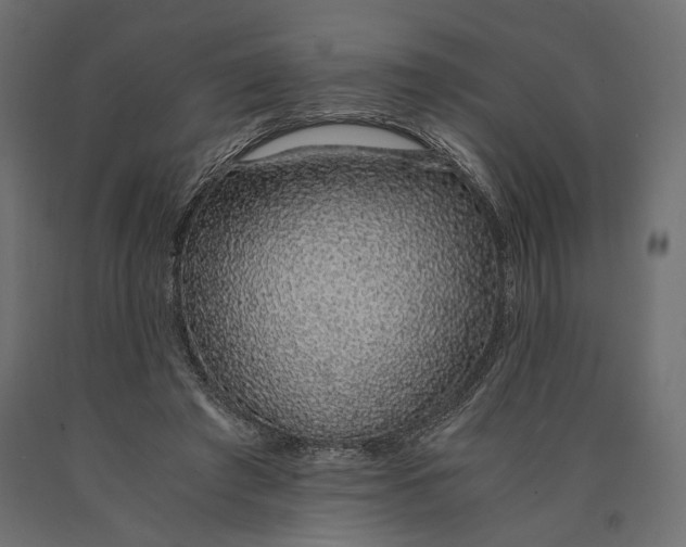 X0000090450401200708031222