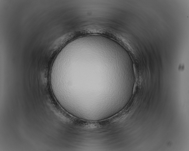 X0000090450402200708031222