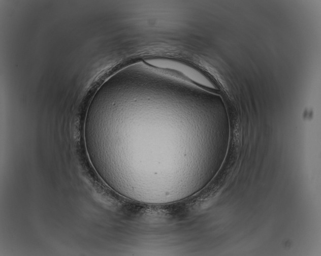 X0000090450403200708031222