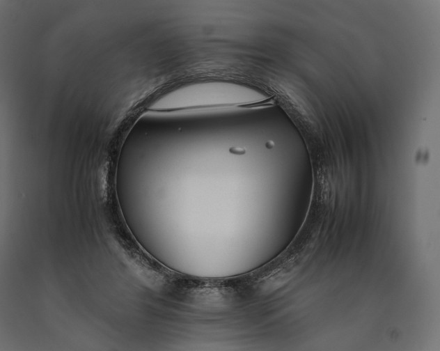 X0000090450404200708031222