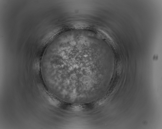 X0000090450405200708031222