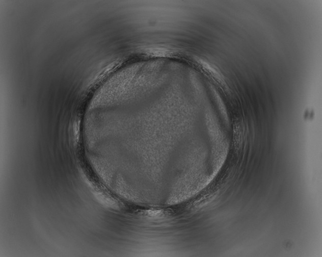 X0000090450406200708031222