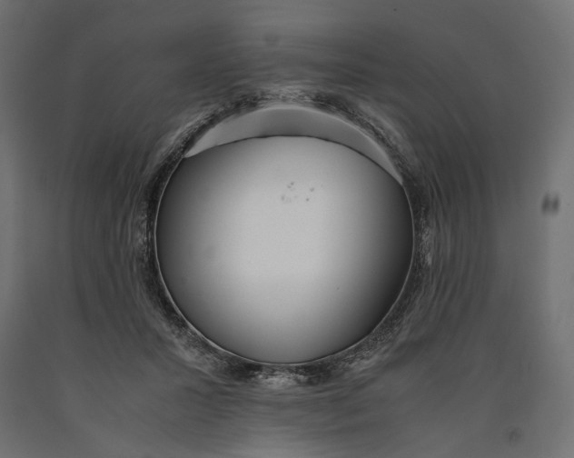 X0000090450407200708031222