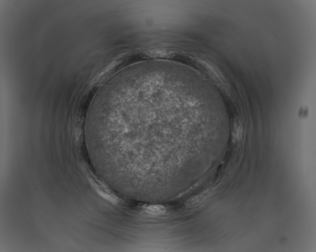 X0000090450409200708031222