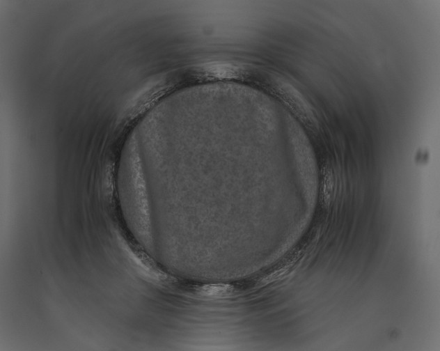 X0000090450410200708031222