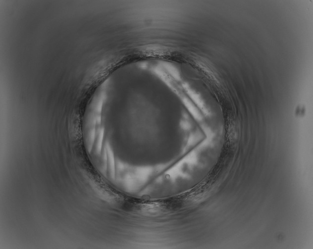 X0000090450411200708031222