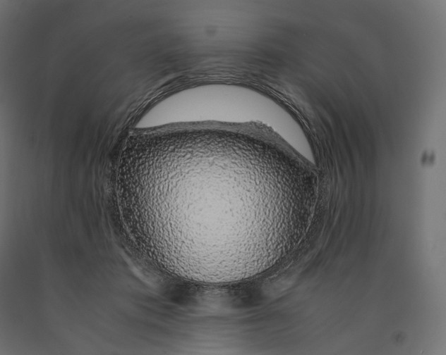 X0000090450413200708031222