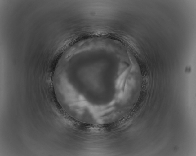 X0000090450415200708031222