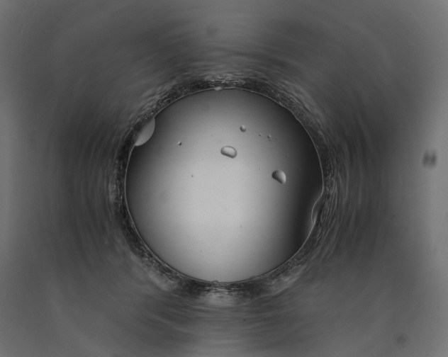 X0000090450416200708031222