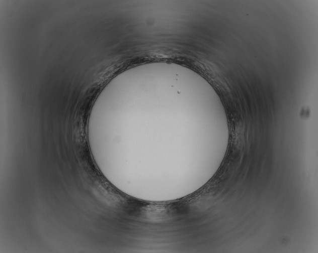 X0000090450418200708031222