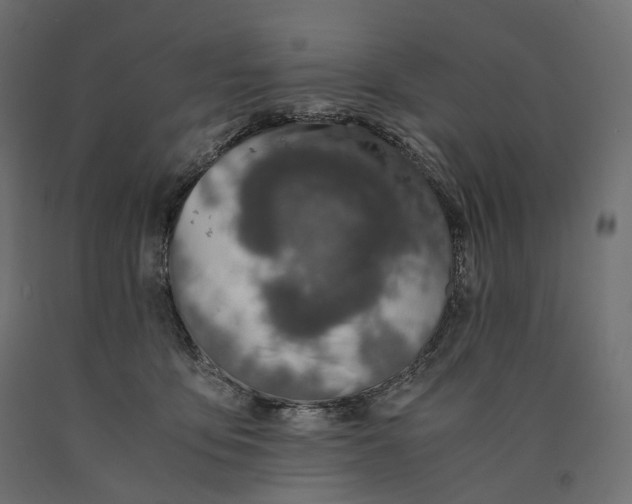 X0000090450419200708031222