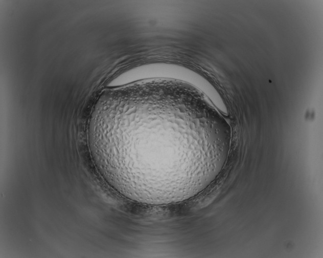 X0000090450421200708031222