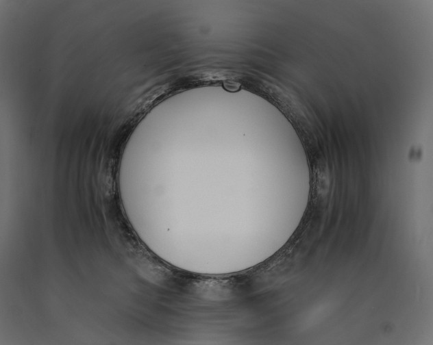 X0000090450422200708031222