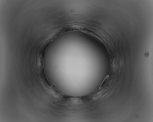 X0000090450424200708031222