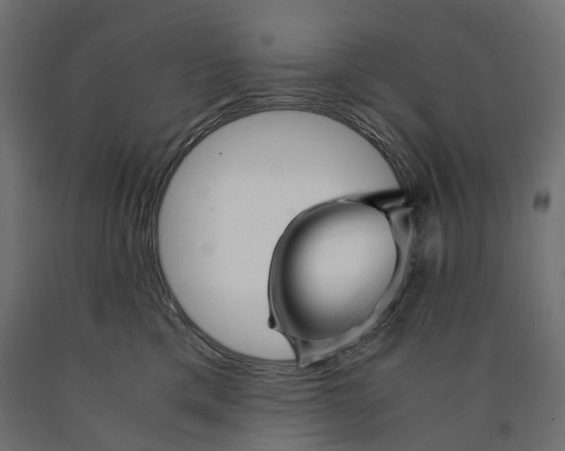 X0000090450425200708031222