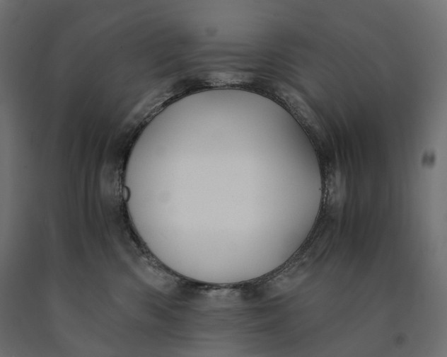 X0000090450426200708031222