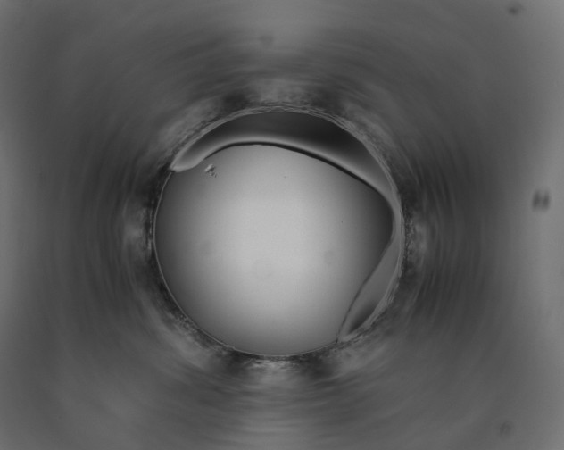 X0000090450428200708031222