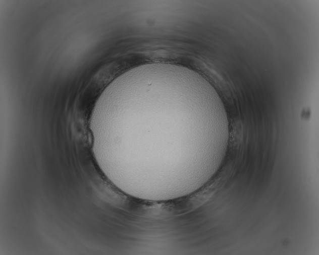 X0000090450430200708031222