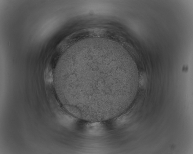 X0000090450431200708031222