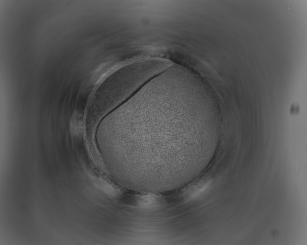 X0000090450432200708031222