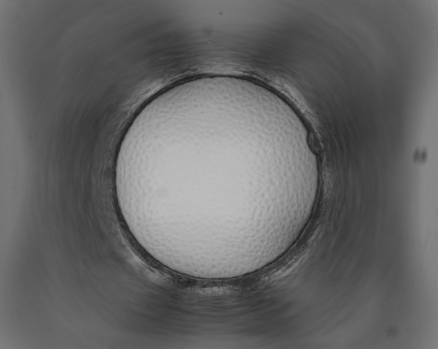 X0000090450433200708031221