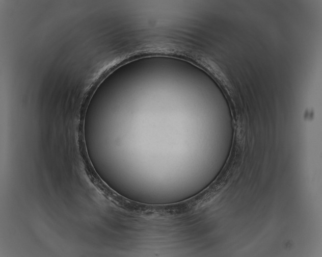 X0000090450434200708031221