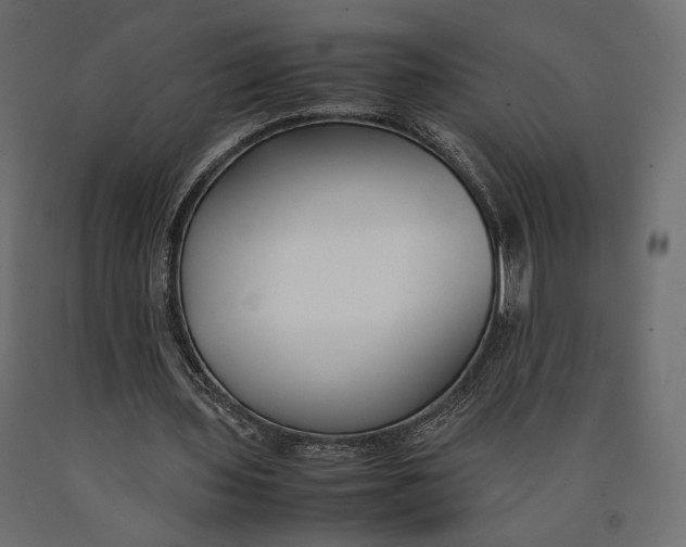 X0000090450435200708031221