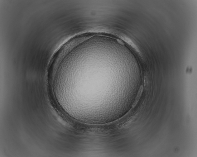 X0000090450436200708031221