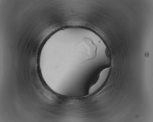 X0000090450438200708031221