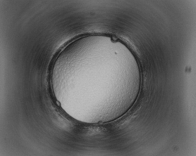 X0000090450439200708031221