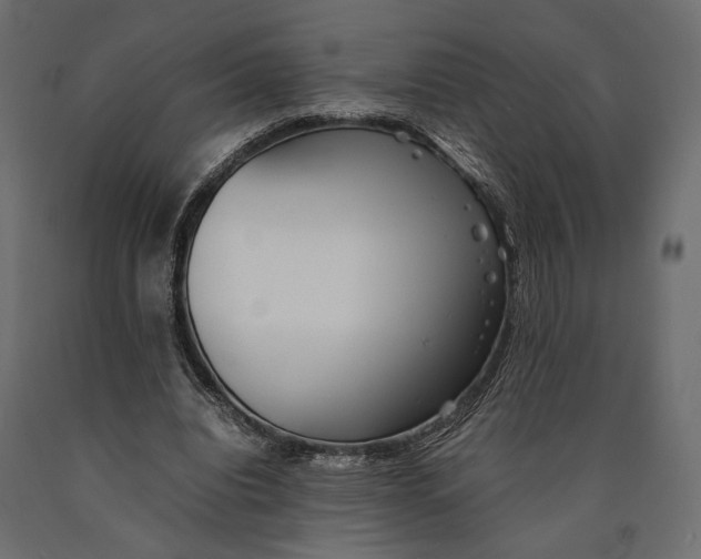 X0000090450440200708031221