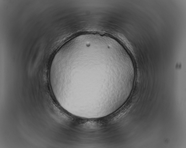 X0000090450441200708031221