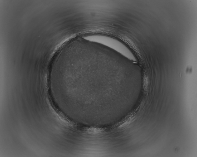 X0000090450444200708031221