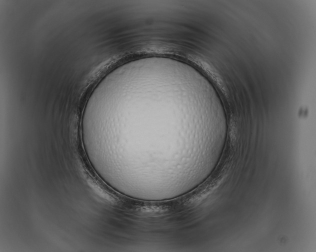 X0000090450445200708031221