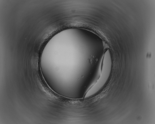 X0000090450446200708031221