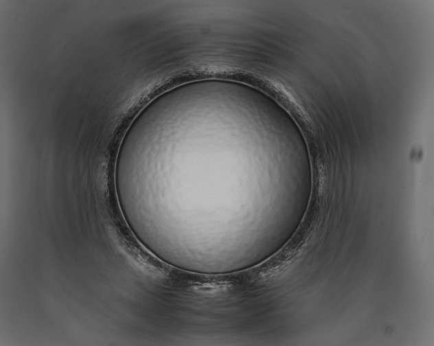 X0000090450447200708031221