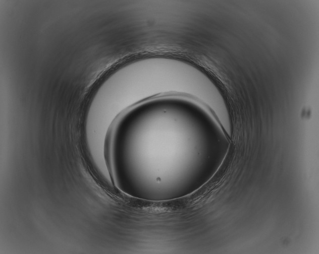 X0000090450448200708031221