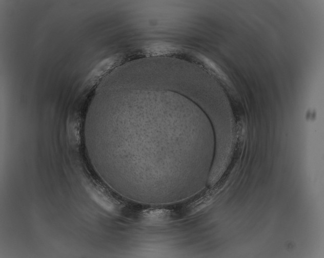 X0000090450452200708031221