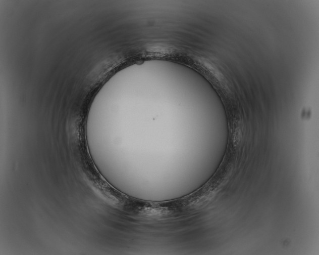 X0000090450455200708031221