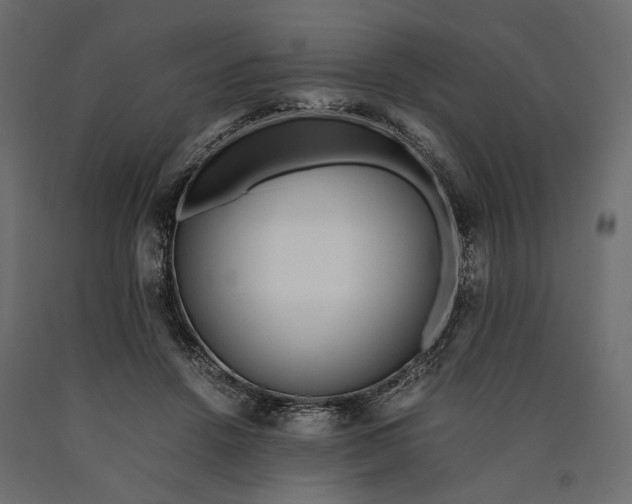 X0000090450456200708031221