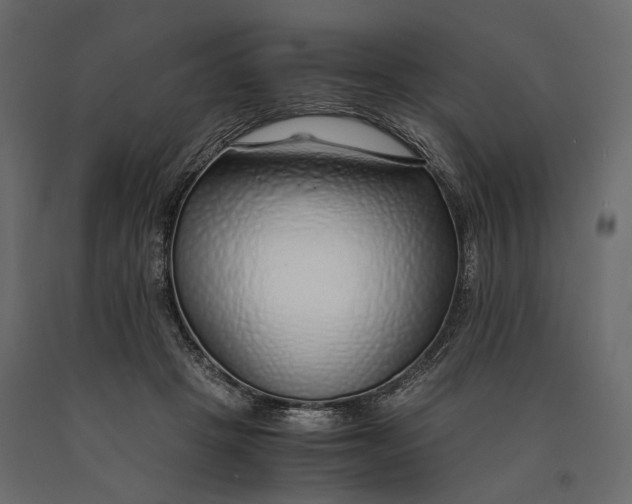 X0000090450457200708031221