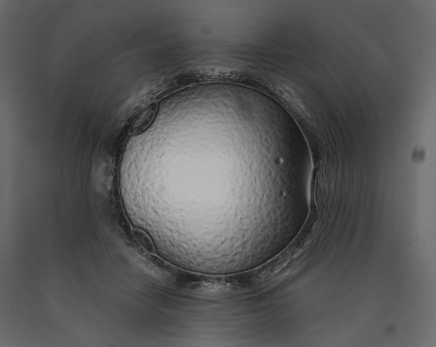 X0000090450458200708031221