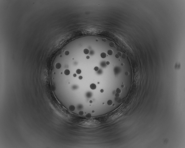 X0000090450459200708031221