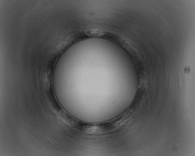 X0000090450460200708031221