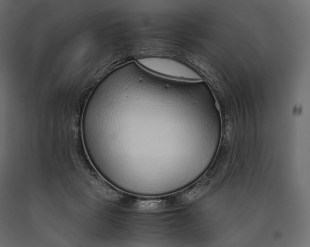 X0000090450461200708031221