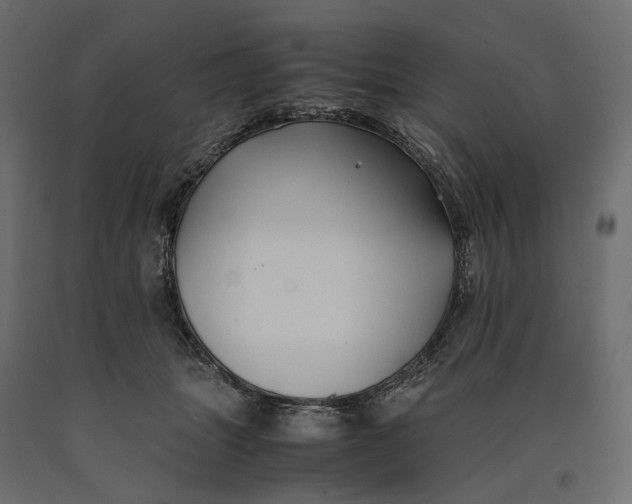 X0000090450463200708031221